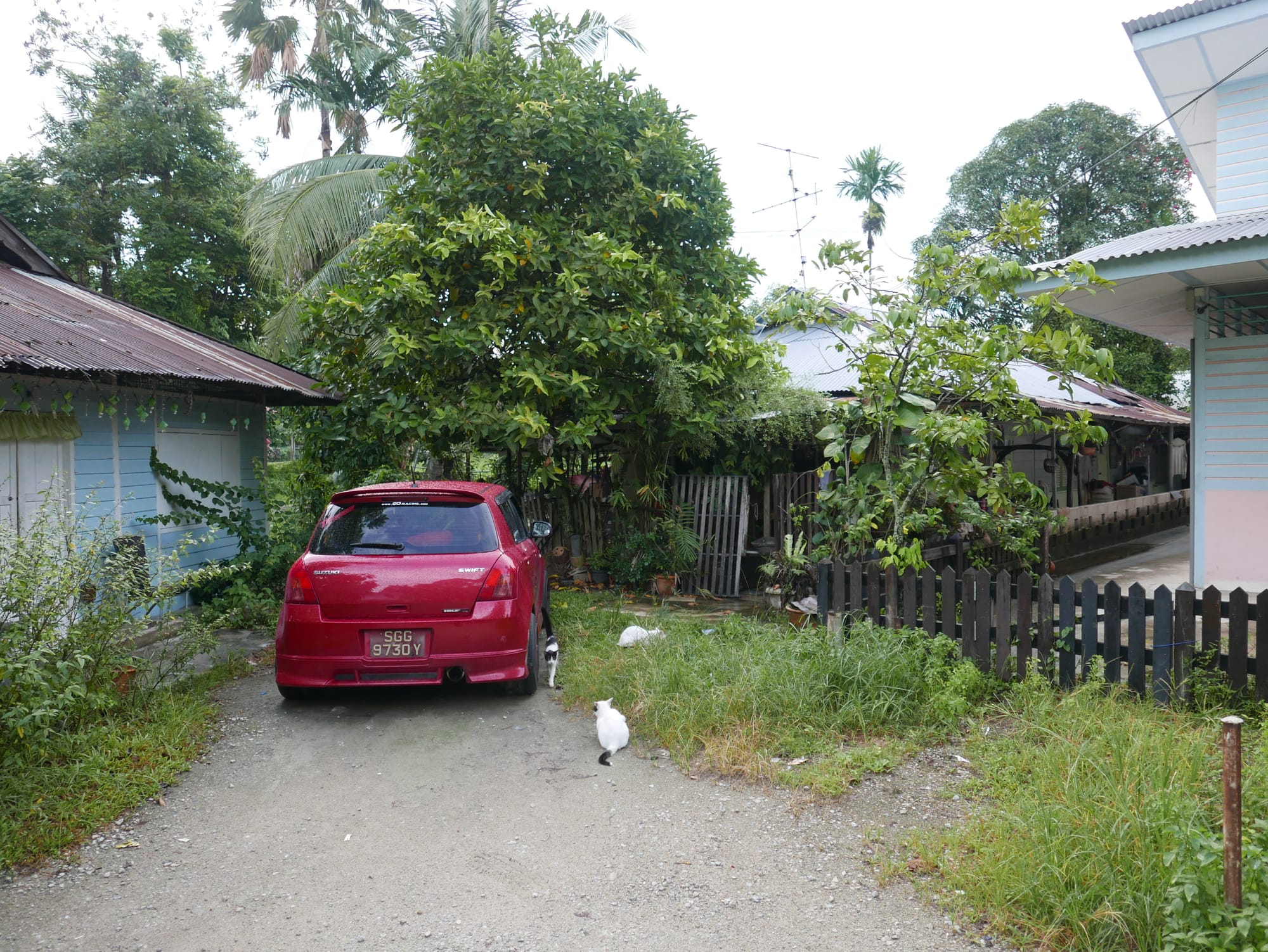 Photo by Author — Kampong Lorong Buangkok, Singapore