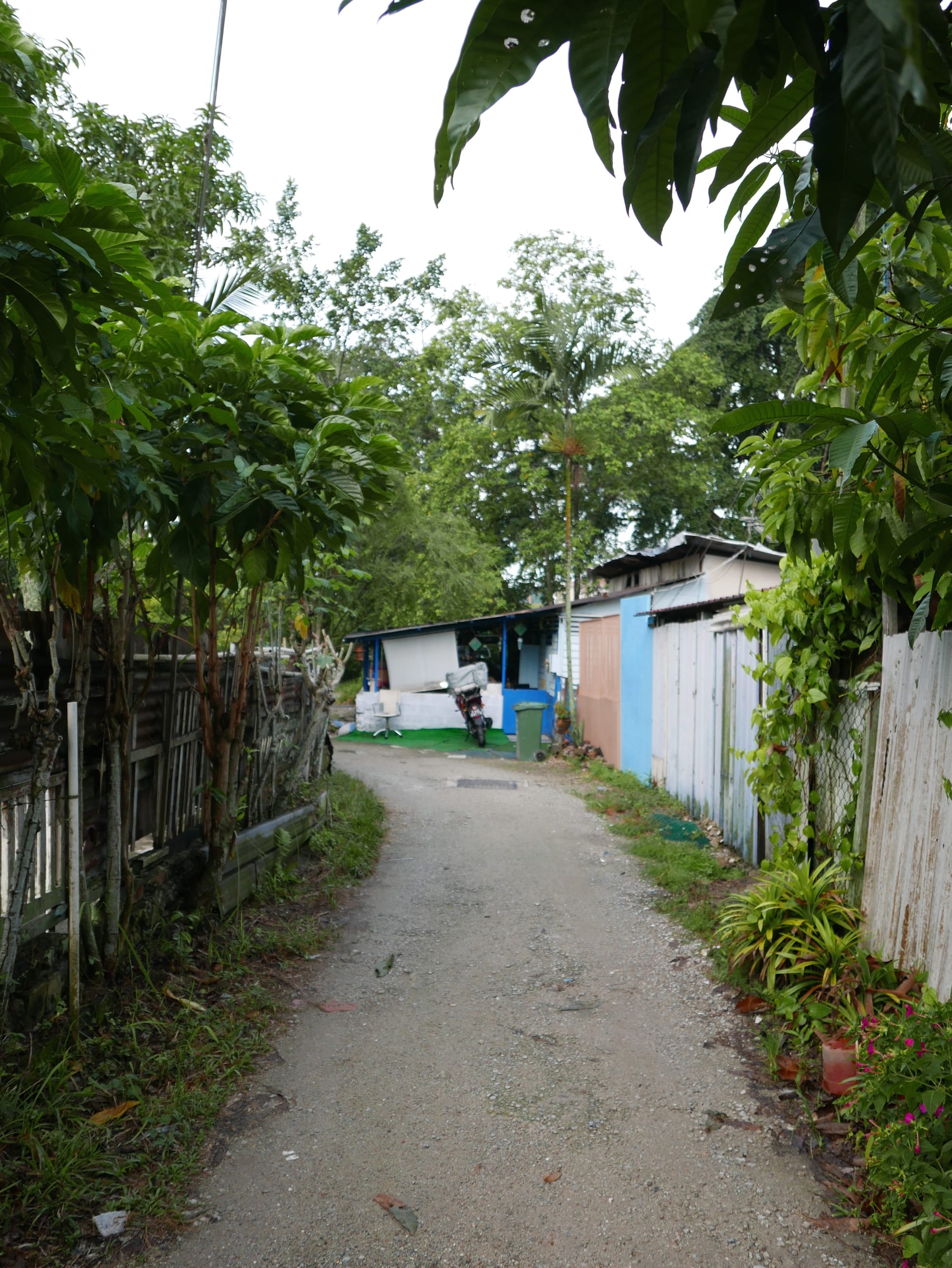 Photo by Author — “Main Street” — Kampong Lorong Buangkok, Singapore