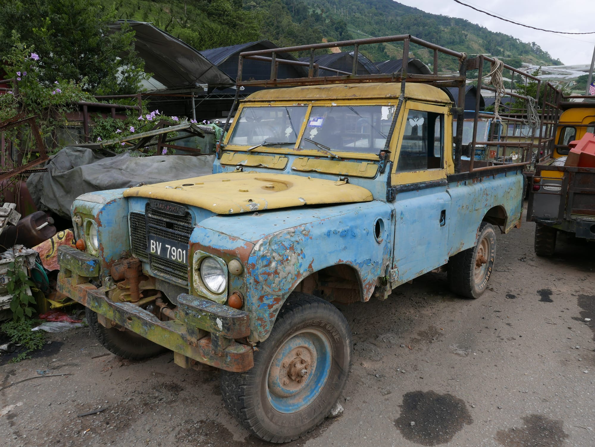 Photo by Author — Land Rovers in the Cameron Highlands, Malaysia
