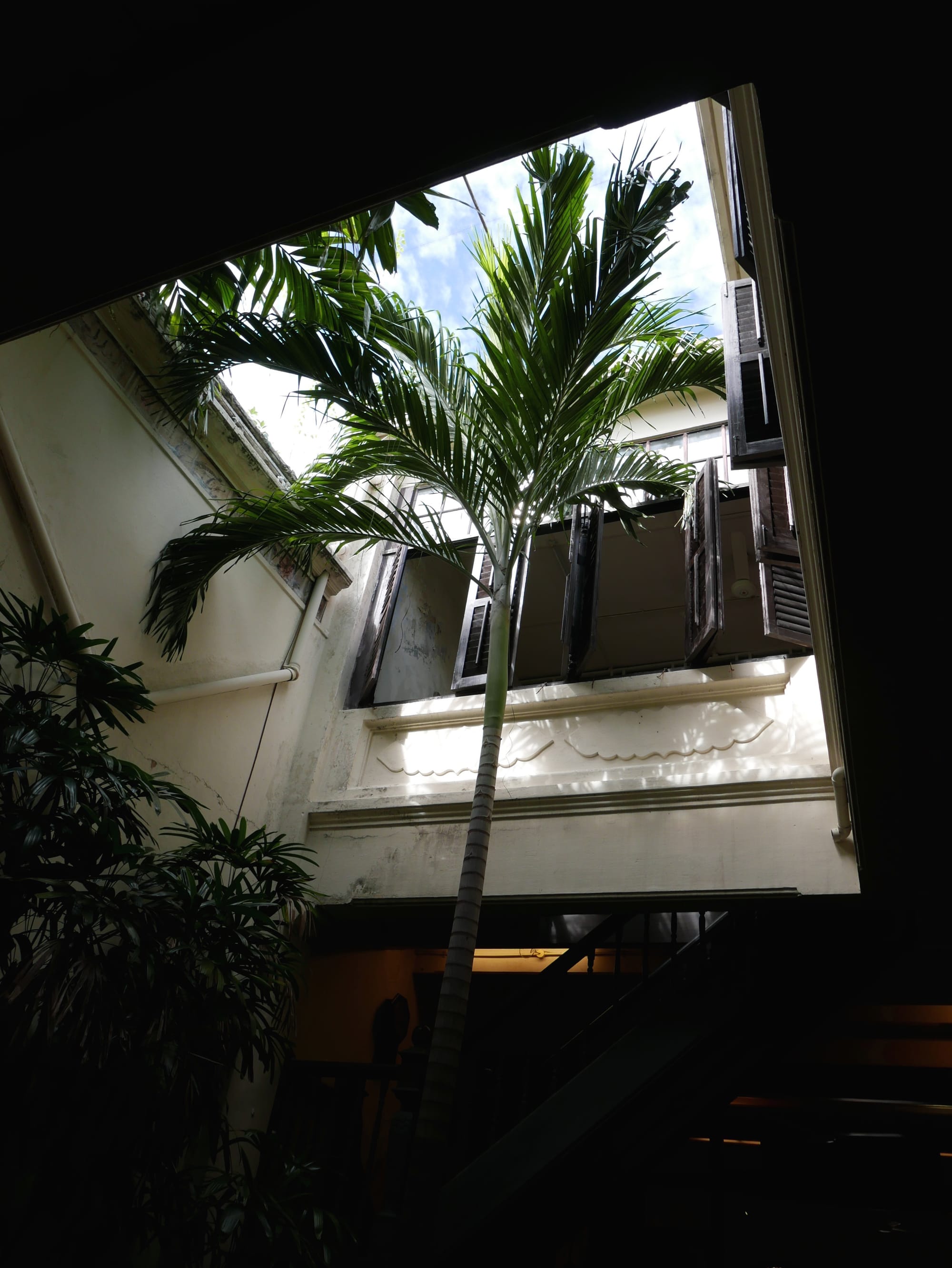 Photo by Author — central light well with a palm tree — Malaqa House Muzeum, Malacca, Malaysia
