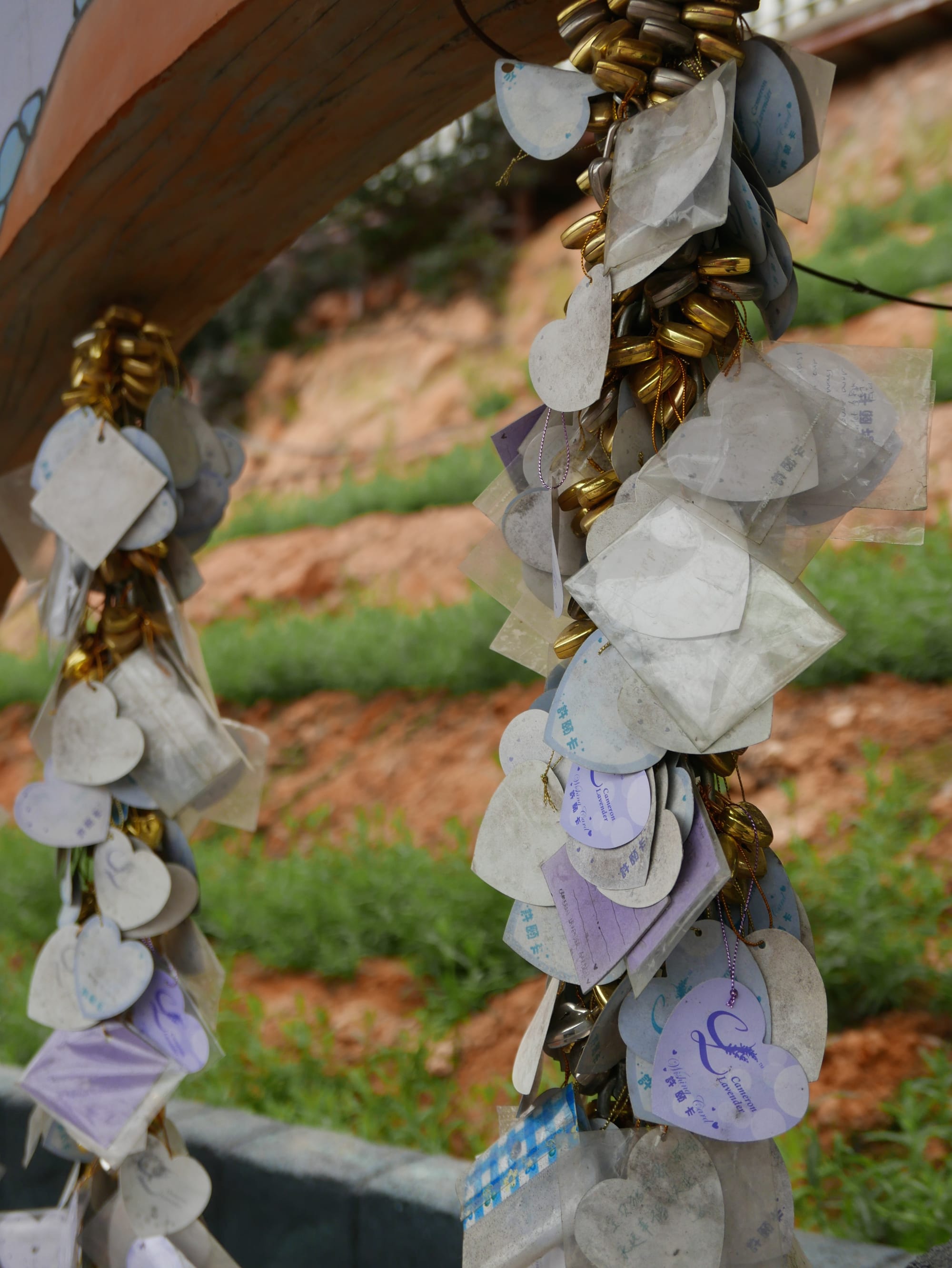 Photo by Author — love tokens — Cameron Lavender Garden, The Highlands, Malaysia