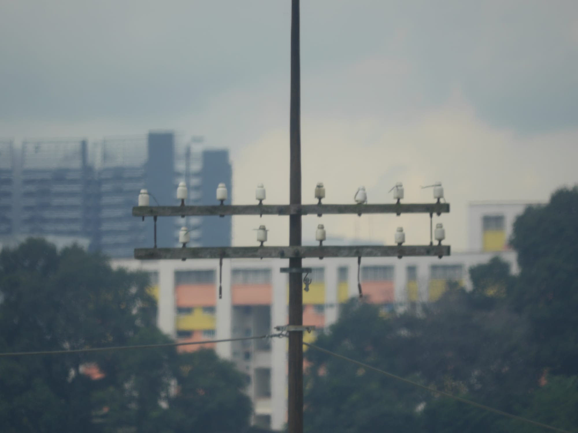 Photo by Author — old telephone gear on the causeway to Singapore