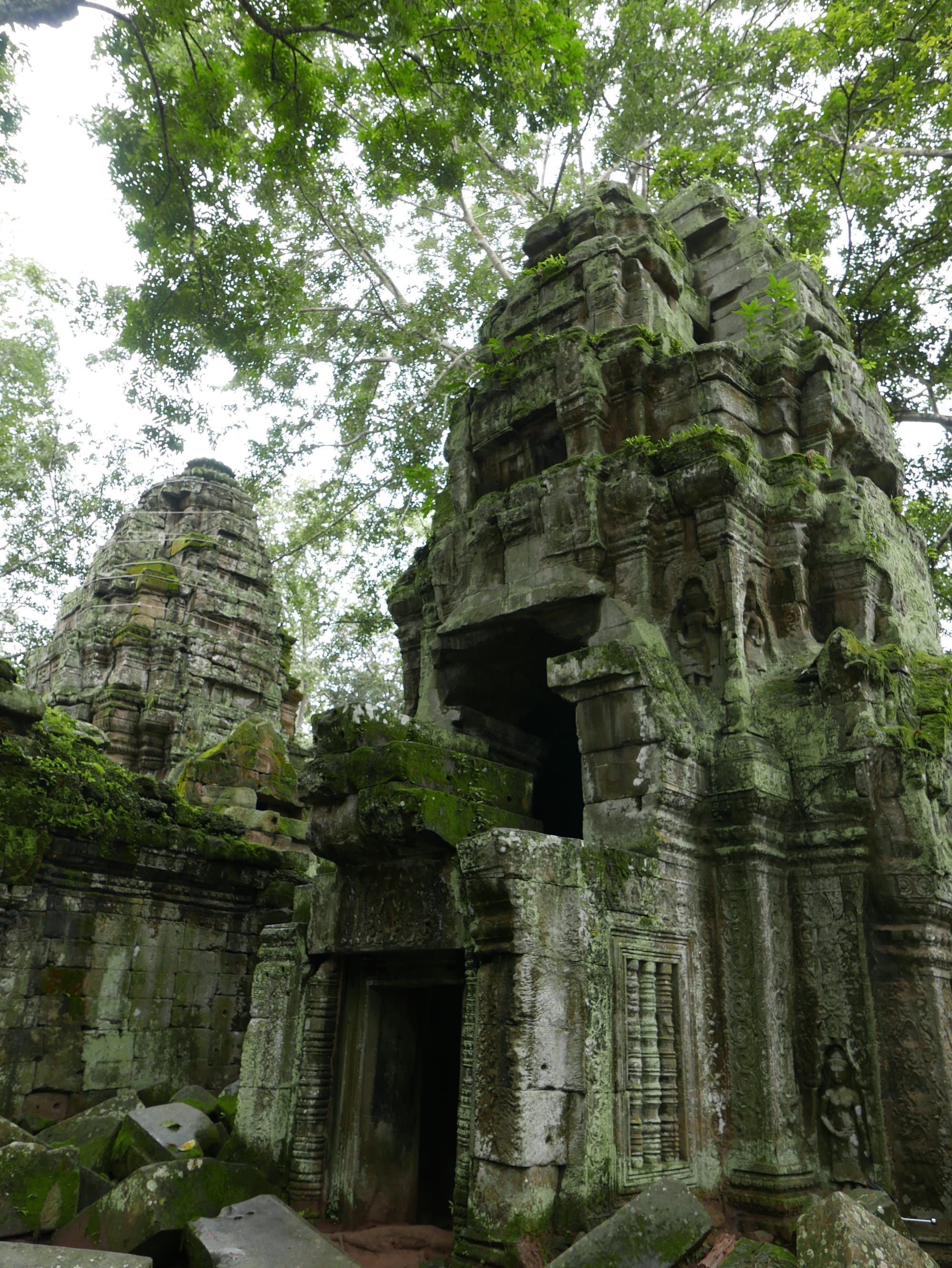 Photo by Author — Ta Prohm (ប្រាសាទតាព្រហ្ម), Angkor Archaeological Park, Angkor, Cambodia