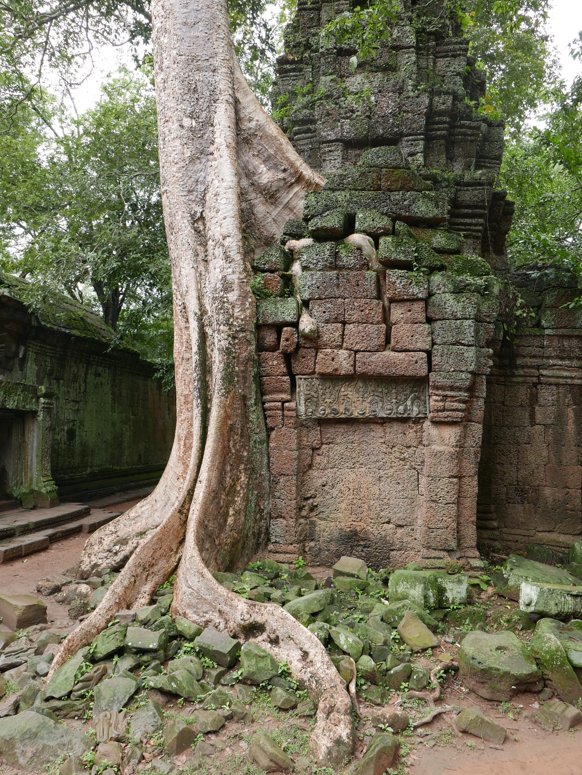 Photo by Author — Ta Prohm (ប្រាសាទតាព្រហ្ម), Angkor Archaeological Park, Angkor, Cambodia