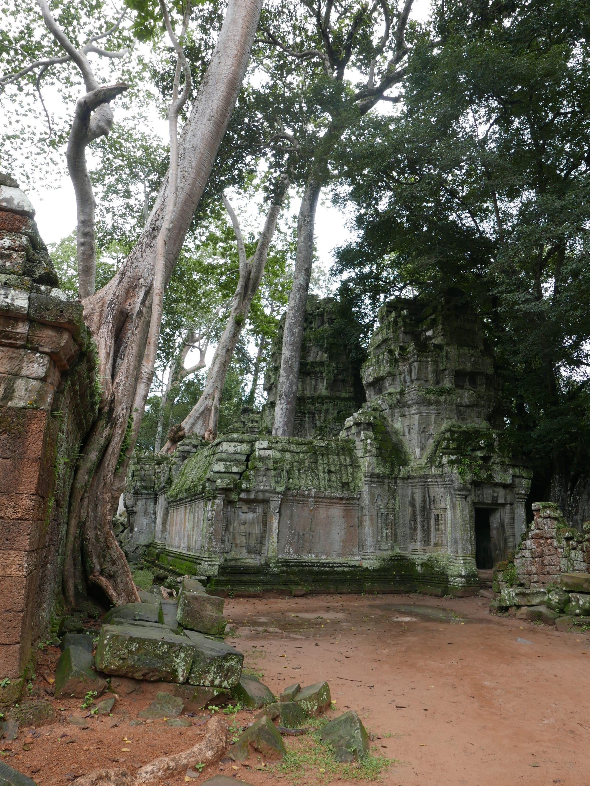 Photo by Author — Ta Prohm (ប្រាសាទតាព្រហ្ម), Angkor Archaeological Park, Angkor, Cambodia