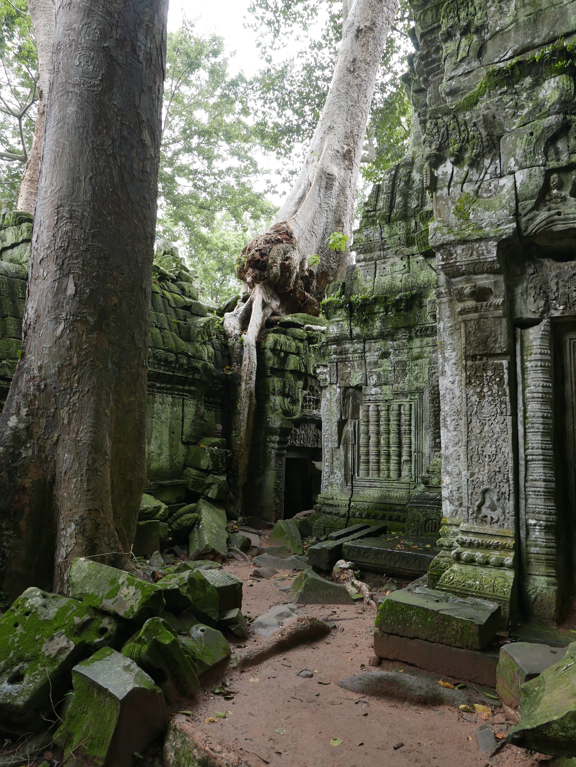Photo by Author — Ta Prohm (ប្រាសាទតាព្រហ្ម), Angkor Archaeological Park, Angkor, Cambodia