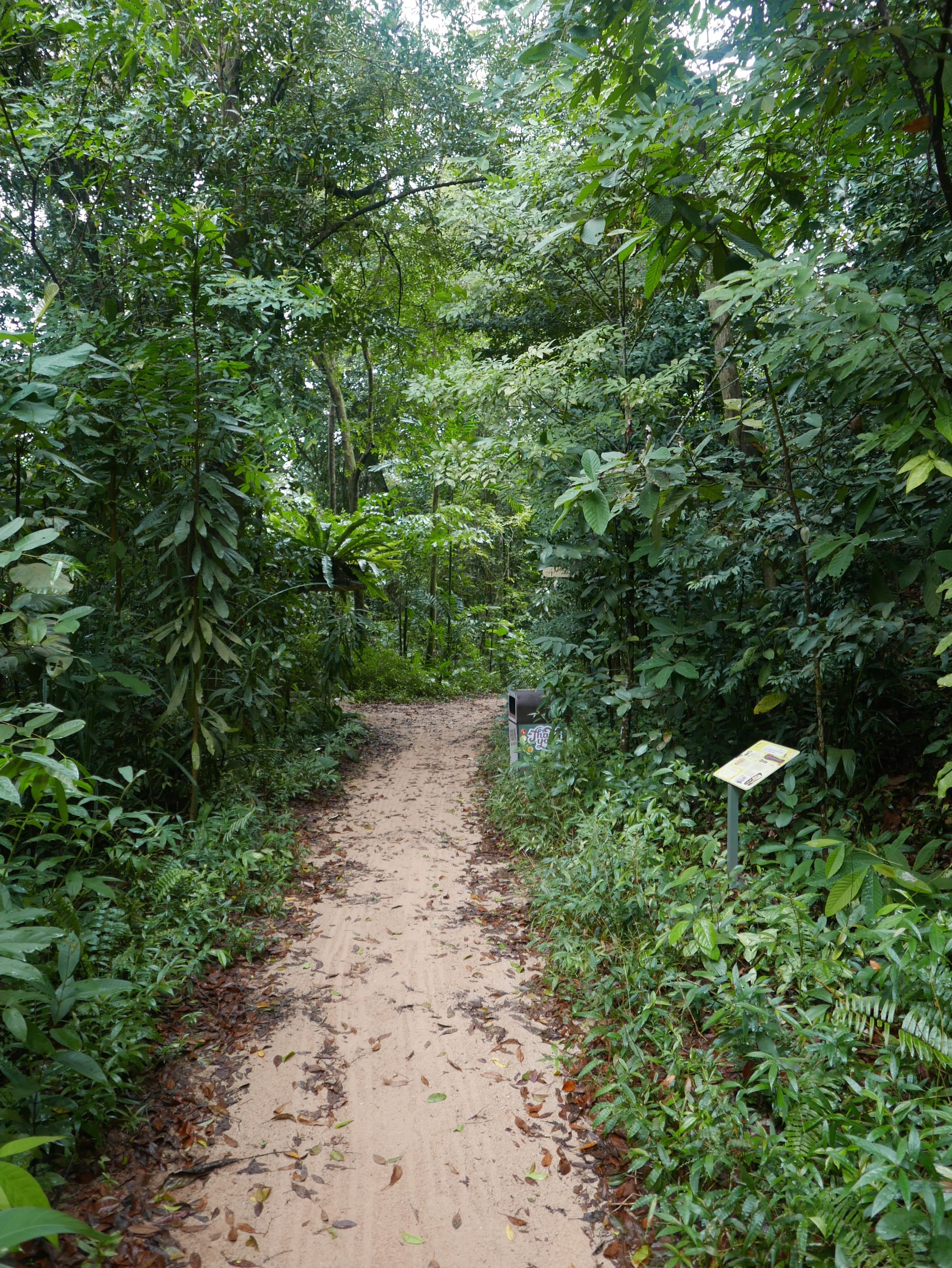 Photo by Author — Imbiah Trail, Sentosa, Singapore