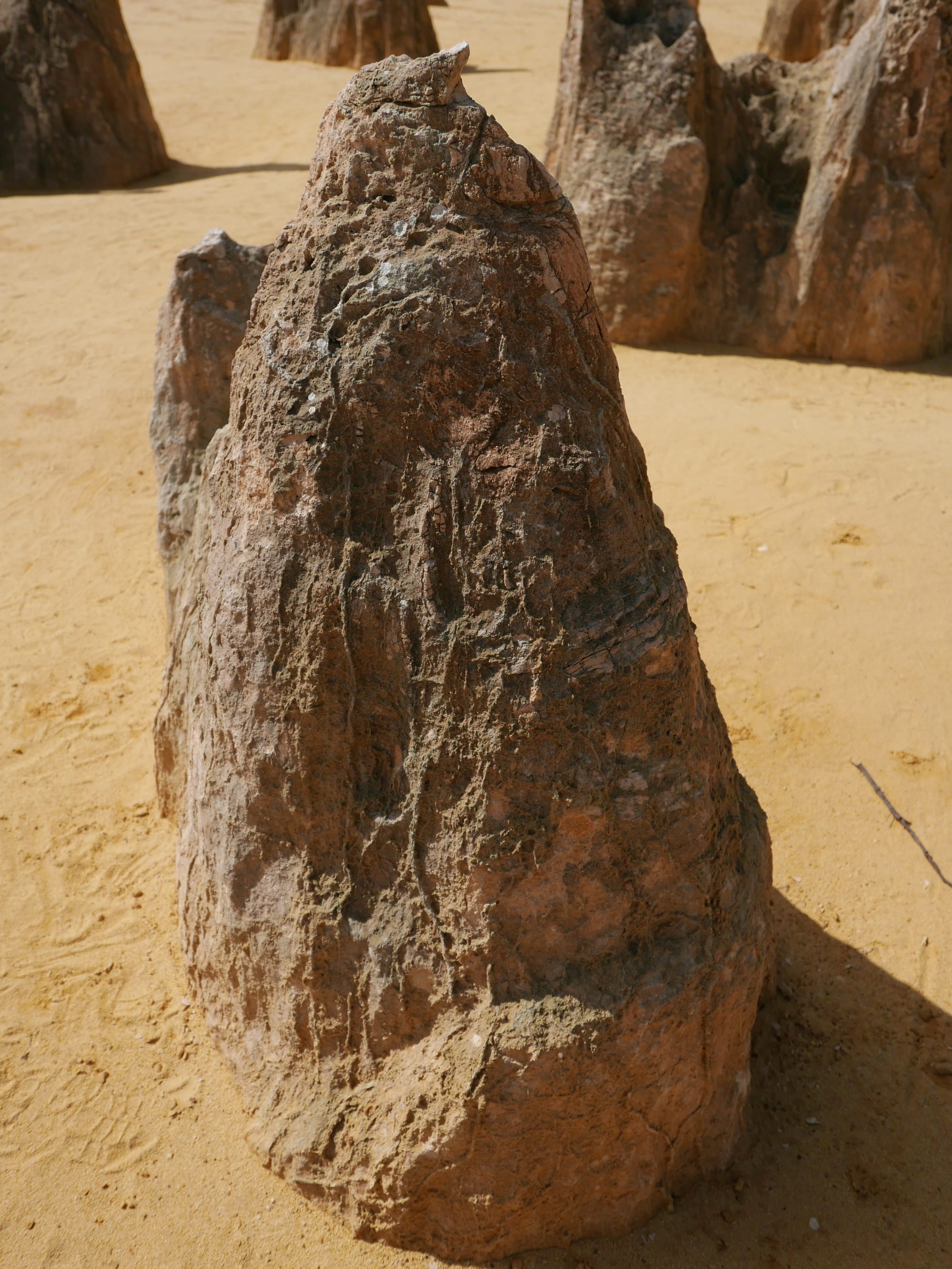 Photo by Author — the Pinnacles Desert, Nambung National Park, Cervantes, WA 6511, Australia