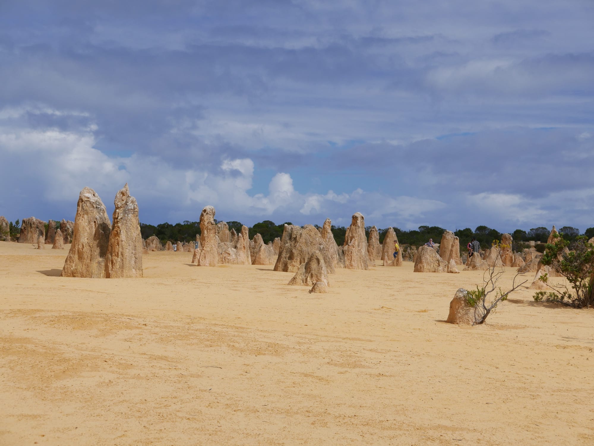 Photo by Author — the Pinnacles Desert, Nambung National Park, Cervantes, WA 6511, Australia