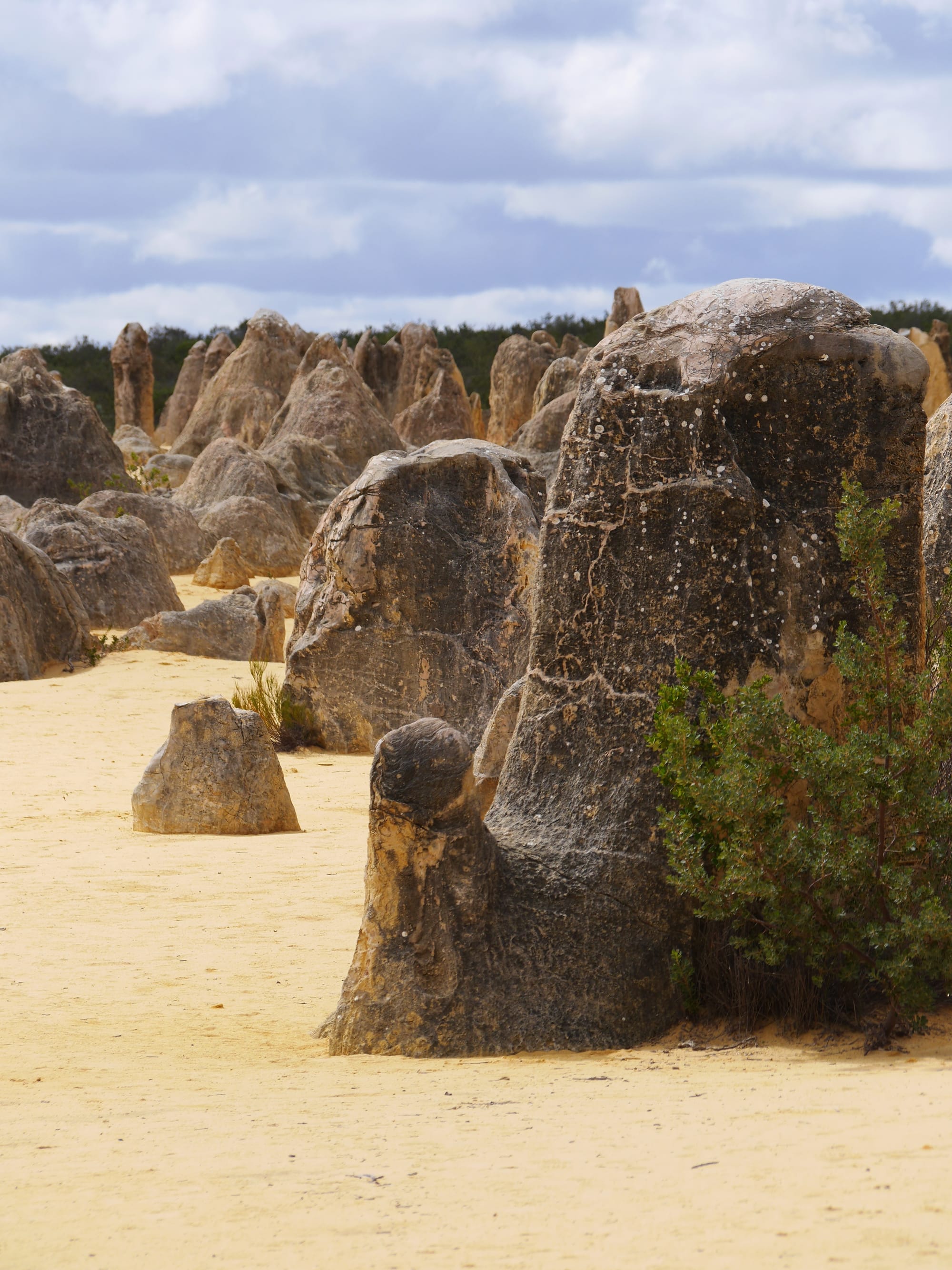 Photo by Author — the Pinnacles Desert, Nambung National Park, Cervantes, WA 6511, Australia