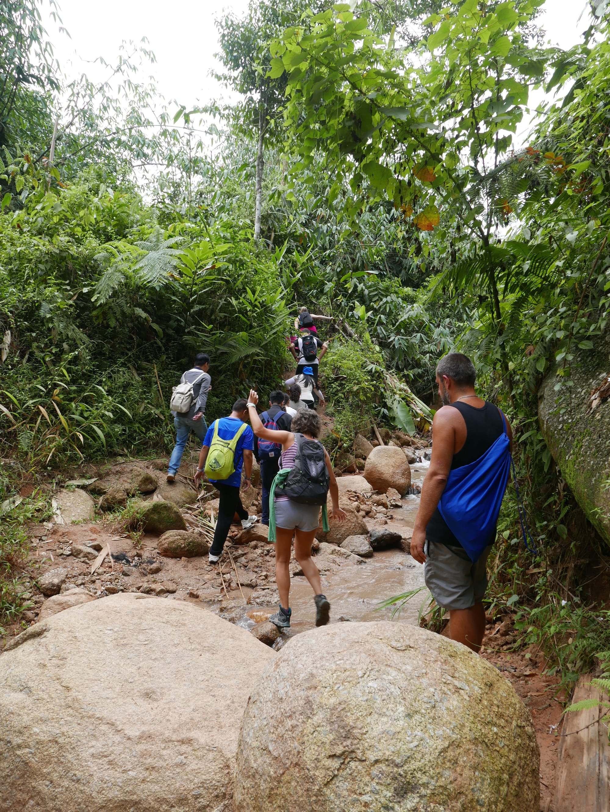Photo by Author — hiking to see the Rafflesia — Cameron Highlands, Malaysia