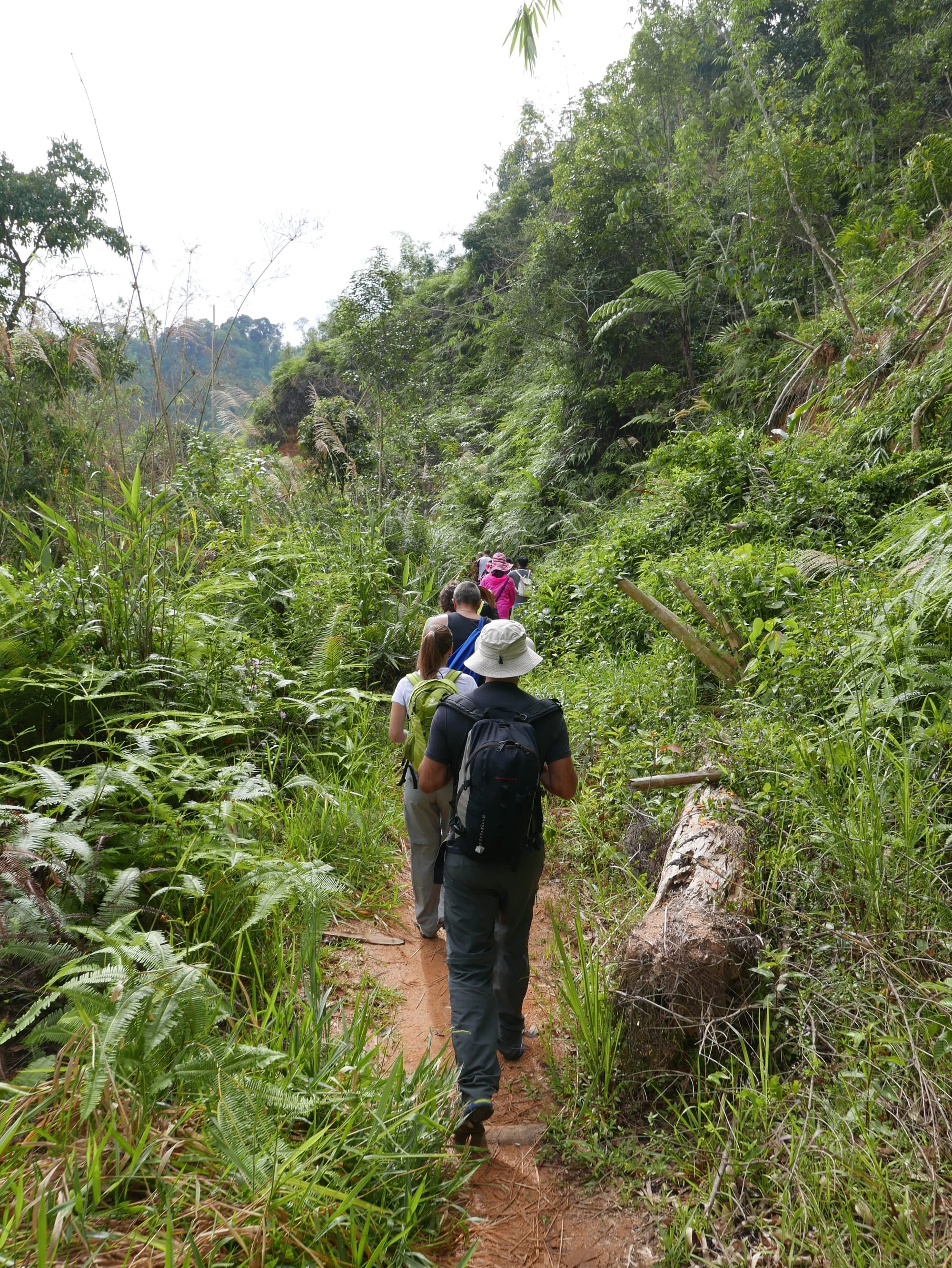 Photo by Author — hiking to see the Rafflesia — Cameron Highlands, Malaysia