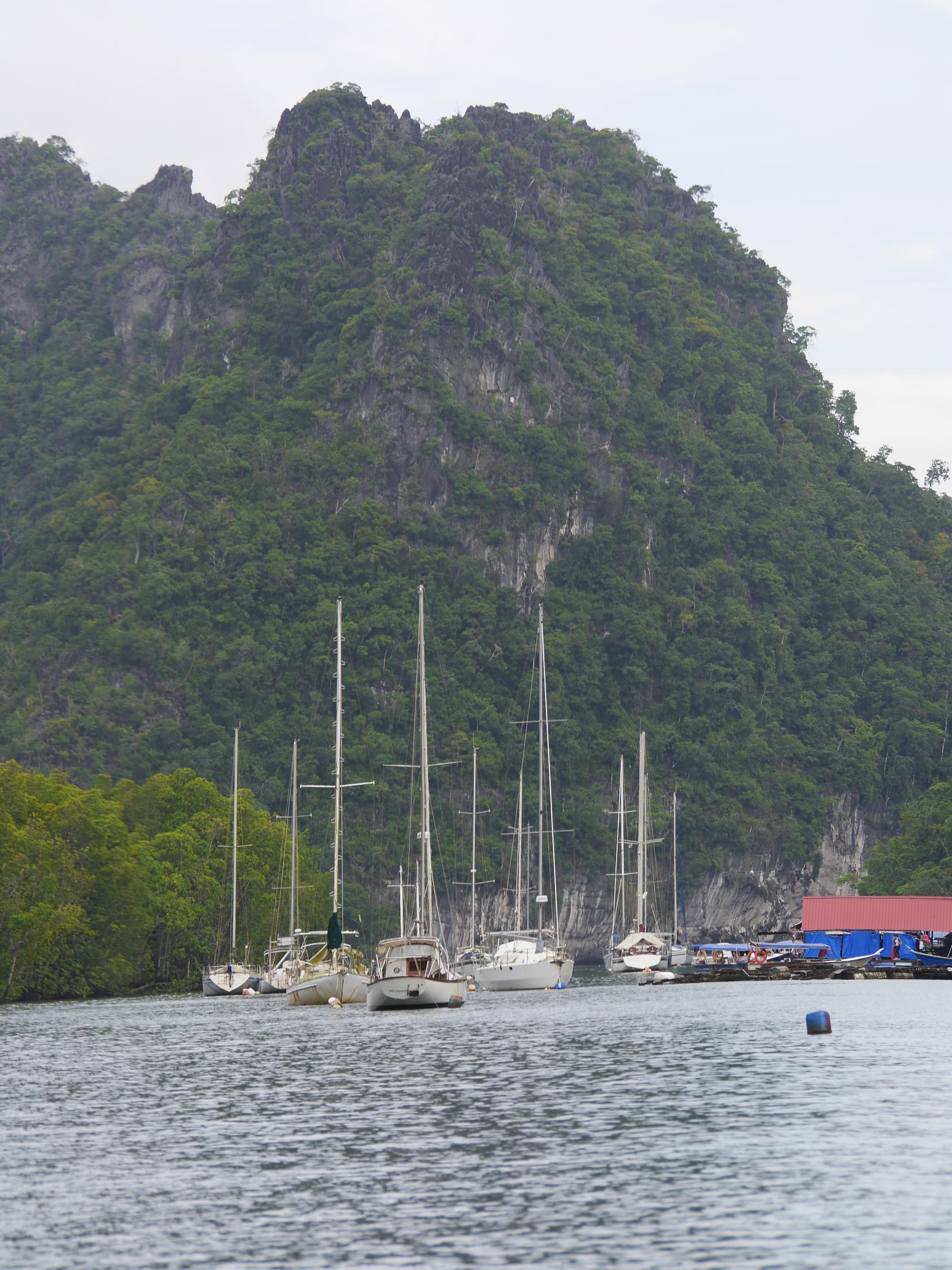 Photo by Author — Tg Rhu Mangrove Tour, Langkawi, Malaysia