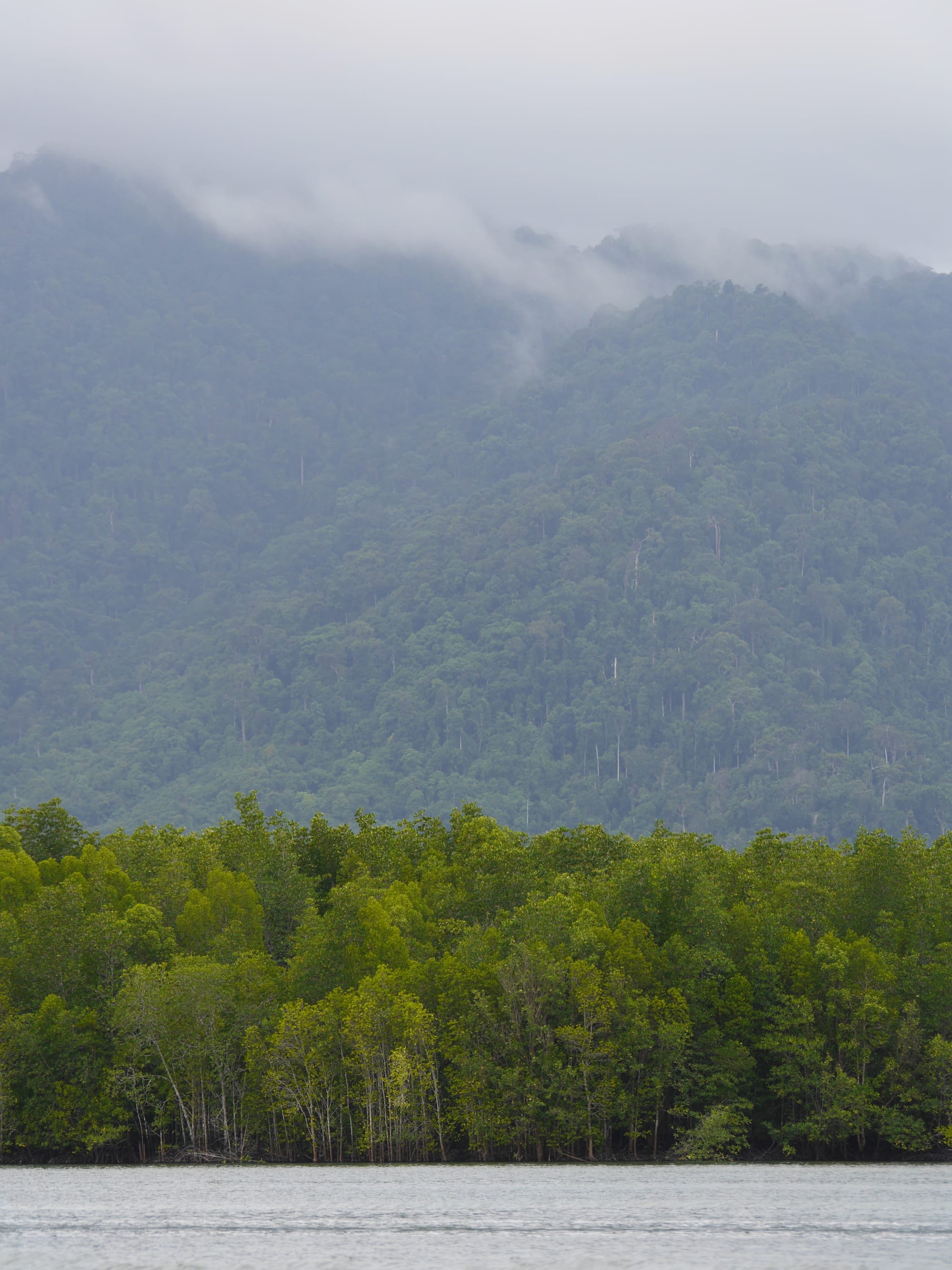 Photo by Author — the scenery — Tg Rhu Mangrove Tour, Langkawi, Malaysia