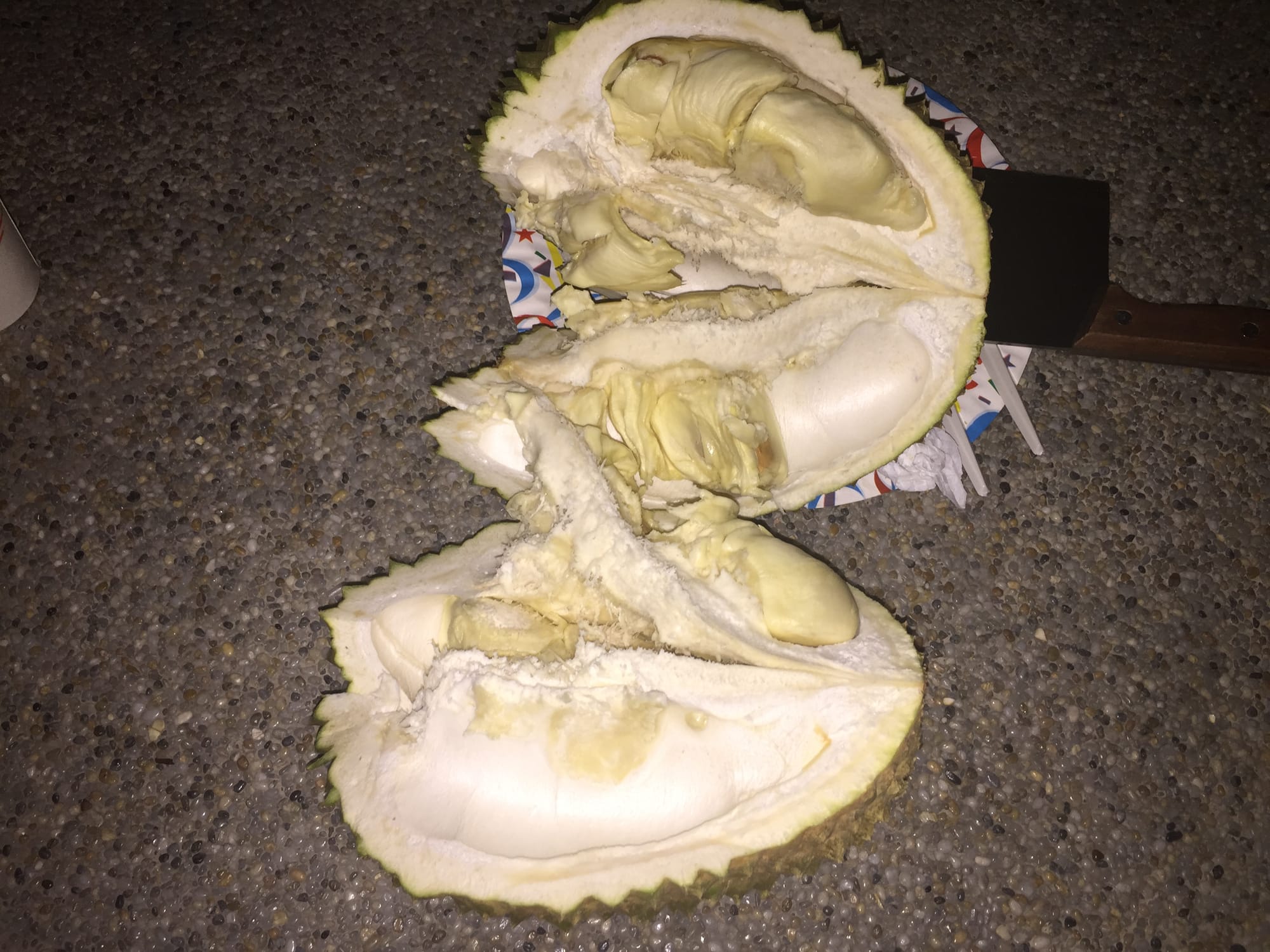 Photo by Author — the inside of the Durian Fruit