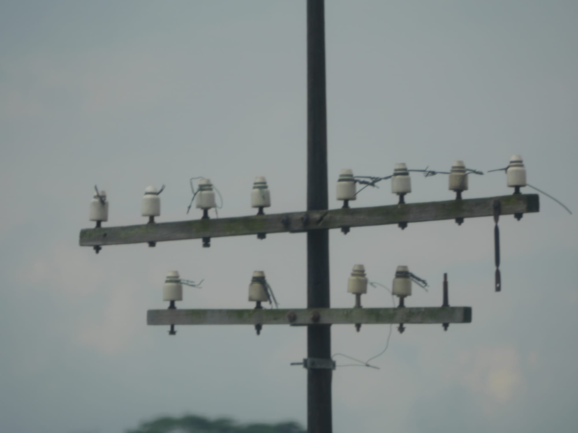 Photo by Author — old telephone gear on the causeway to Singapore