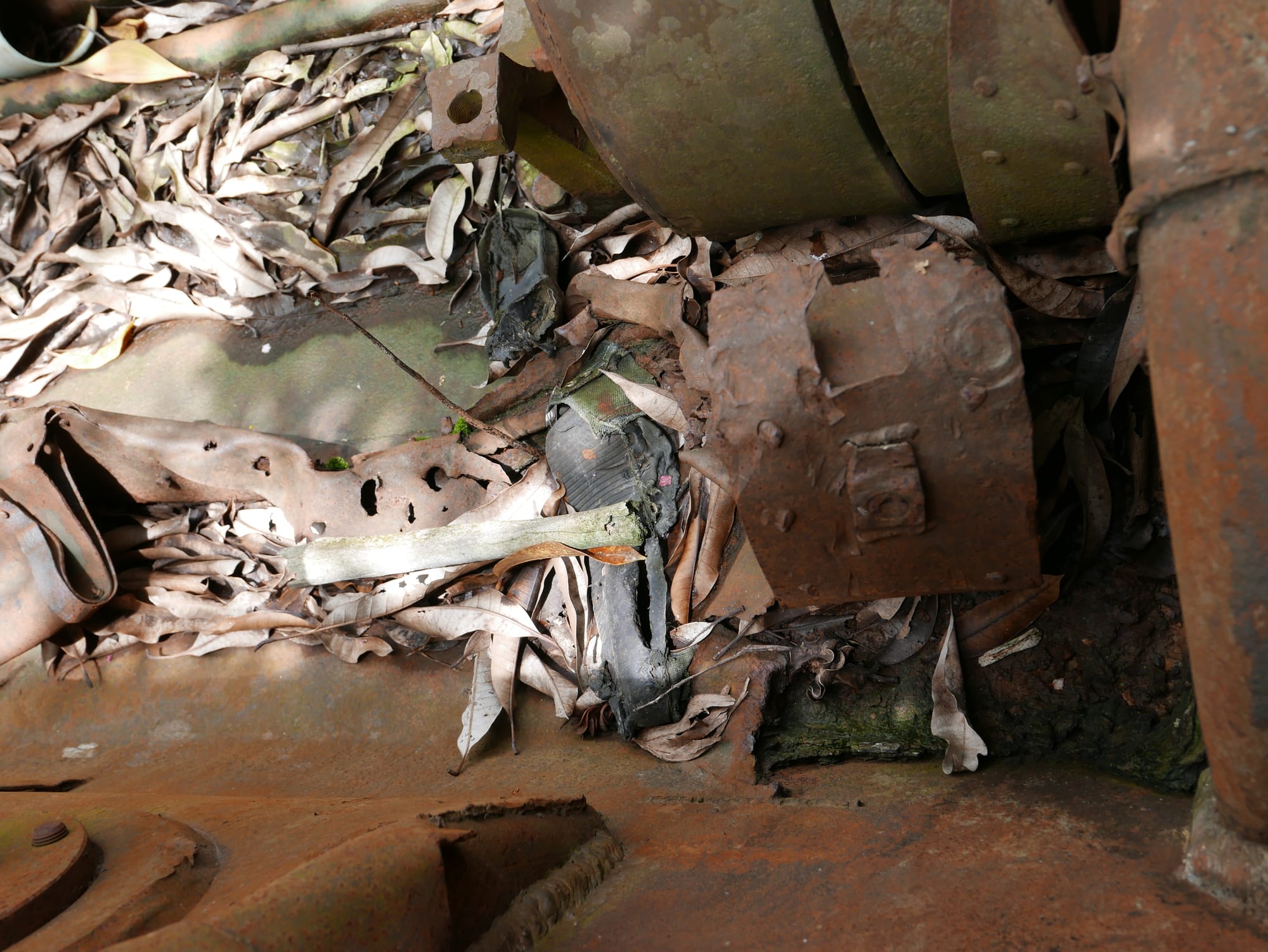 Photo by Author — human remains in a tank— War Museum, Siem Reap, Cambodia