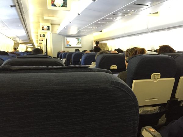 What is missing from the back of the aircraft seats?