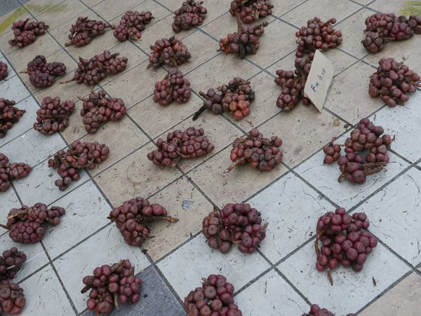 What are these? The covered market (day) — Sibu, Sarawak, Malaysia