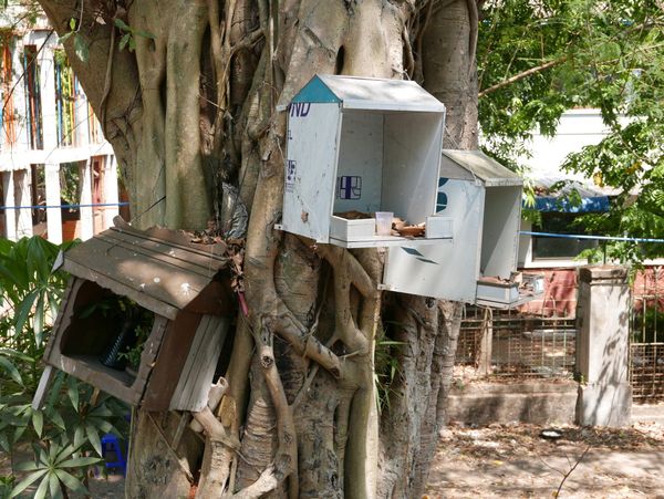 The Nat Tree Shrines in Yangon (Rangoon), Myanmar (Burma)
