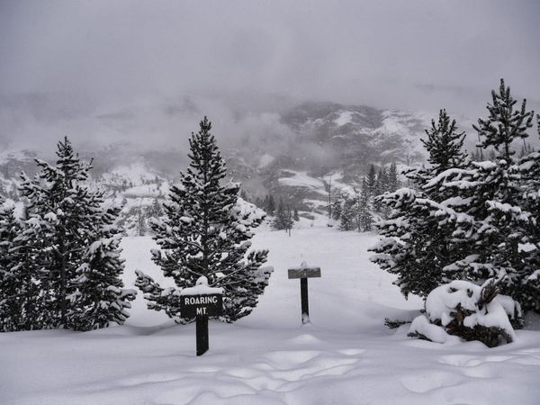 Roaring Mountain in the snow - Yellowstome National Park in the winter