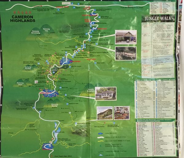 Exploring the Cameron Highlands, Malaysia