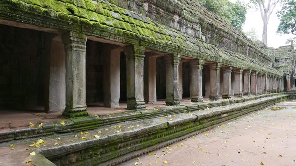Ta Prohm (ប្រាសាទតាព្រហ្ម), Angkor Archaeological Park, Angkor, Cambodia