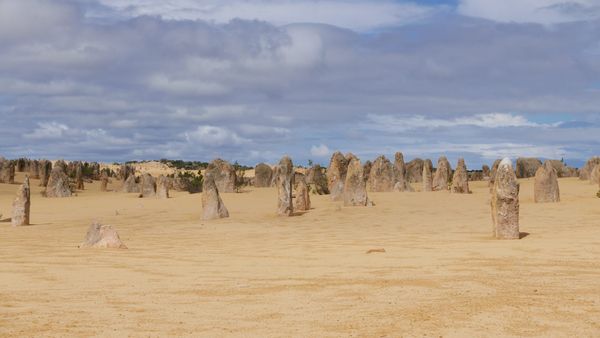 Pinnacles Desert, Nambung National Park, Cervantes, WA 6511, Australia
