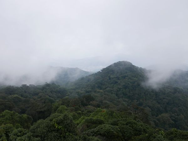 The highest point of the Cameron Highlands - Puncak Gunung Brinchang and Watch Tower, Cameron Highlands, Malaysia
