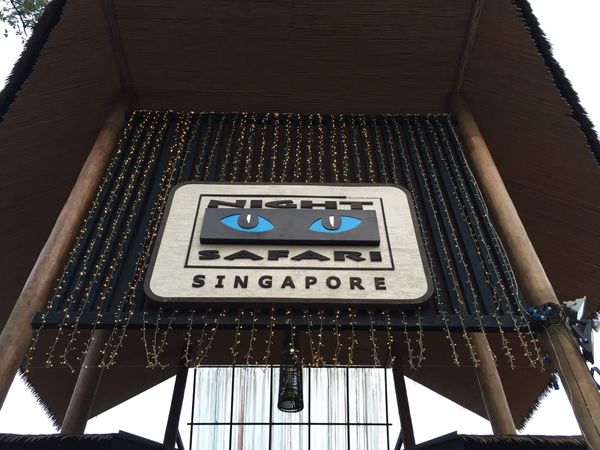 Singapore — Singapore Zoo Night Safari, Singapore