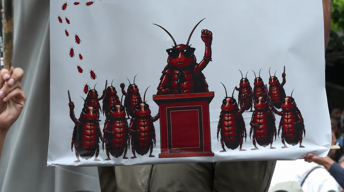 Quando gli scarafaggi si organizzano