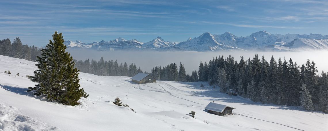 Beatenberg - Vorsass -Beatengerg