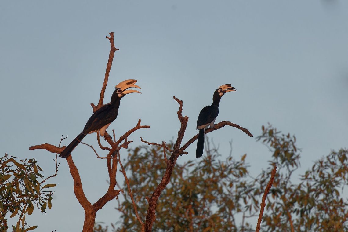 Singapore - Pasir Ris