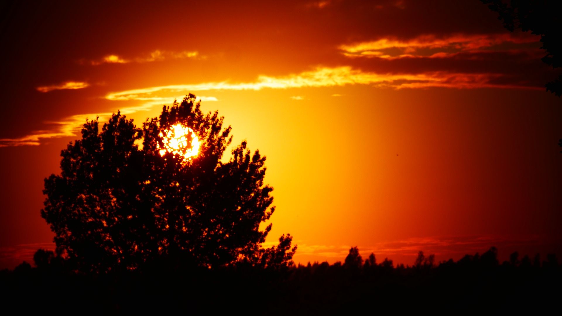 Photo: wernerredlich / 702 images