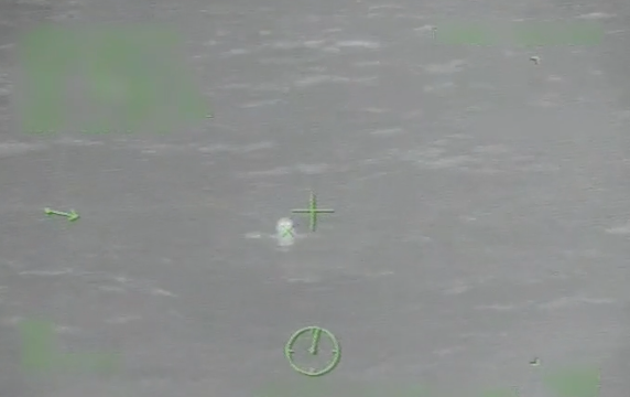 An overboard cruise ship passenger is discovered off the coast of Louisiana. Image: U.S. Coast Guard 