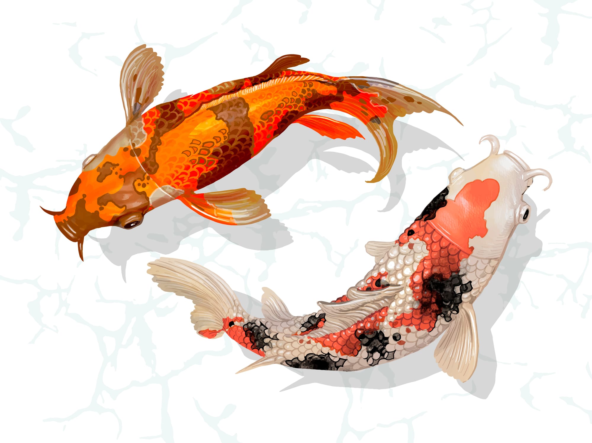 Fish That Enter the Sea