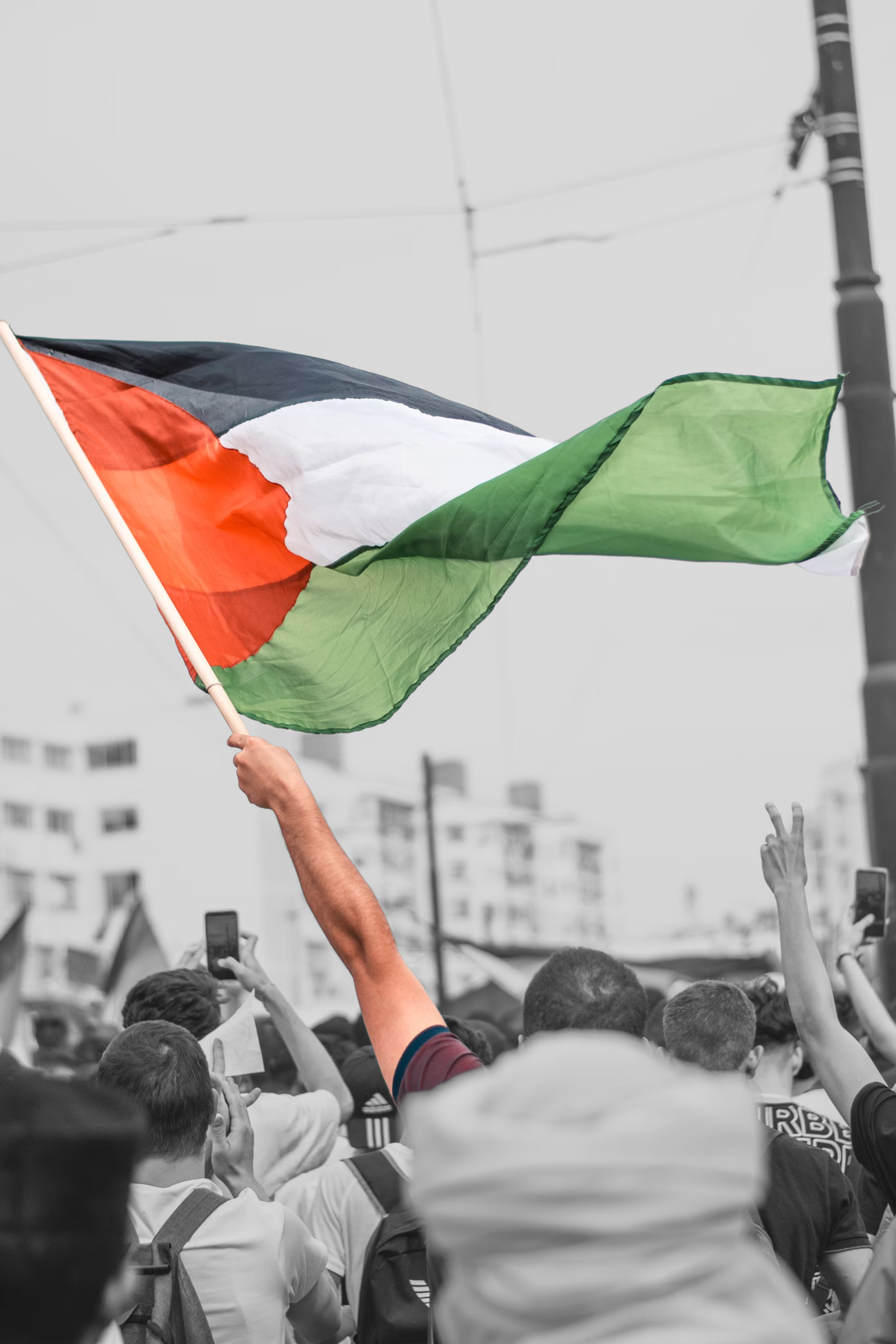The push for Palestinian statehood.
