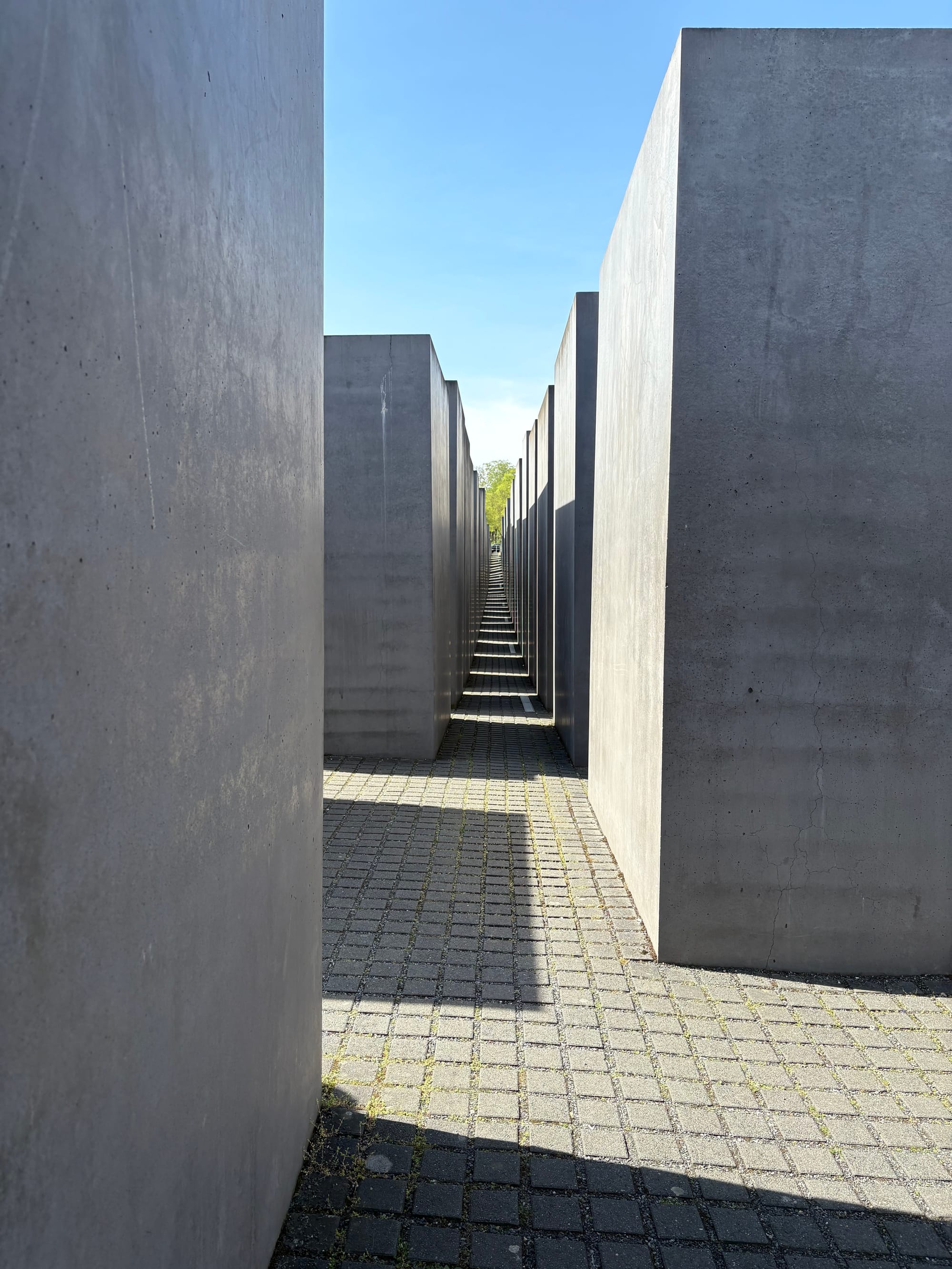 Five Rooms of Memory – When Silence Shook Humankind