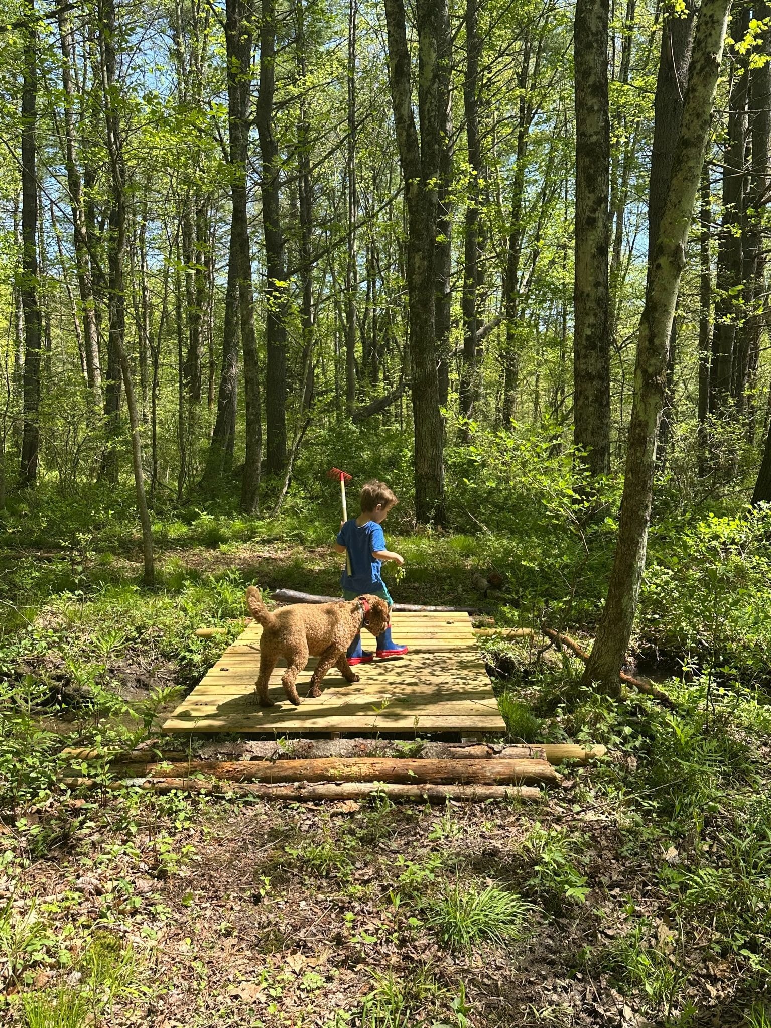  The author’s child in the woods | Photo from Rachael Hagerstrom