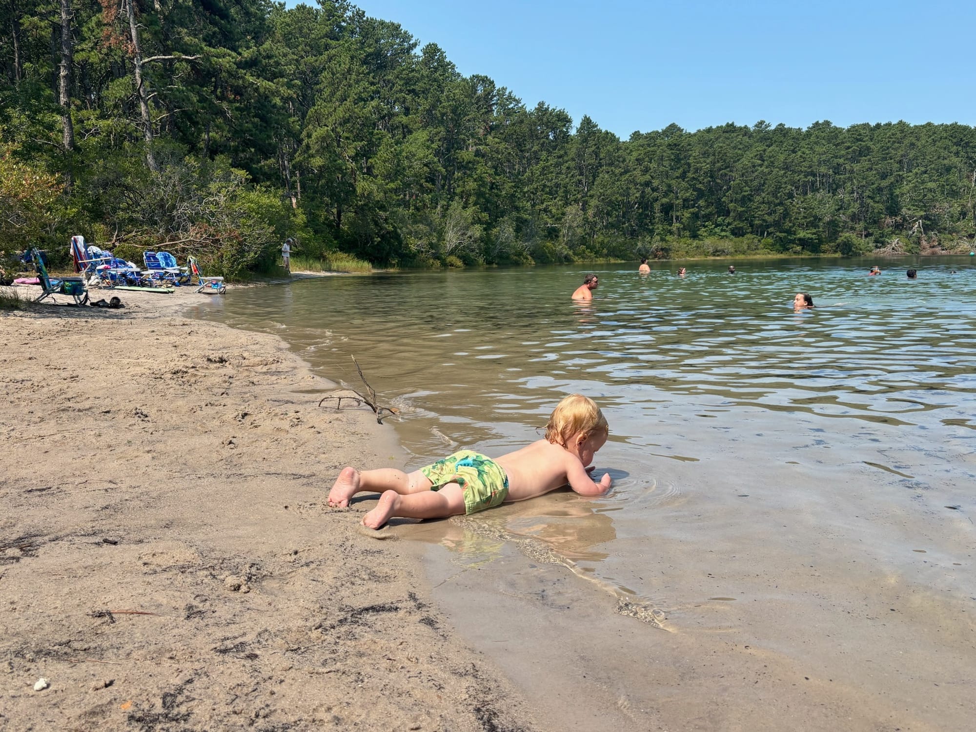 Isaac's son enjoying the fresh water at one of Cape Cod's famous kettle ponds. Photo: Isaac Saul