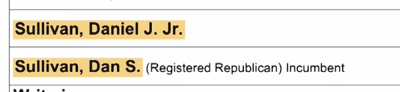 An image showing how each Sullivan will be distinguished on the ballot
