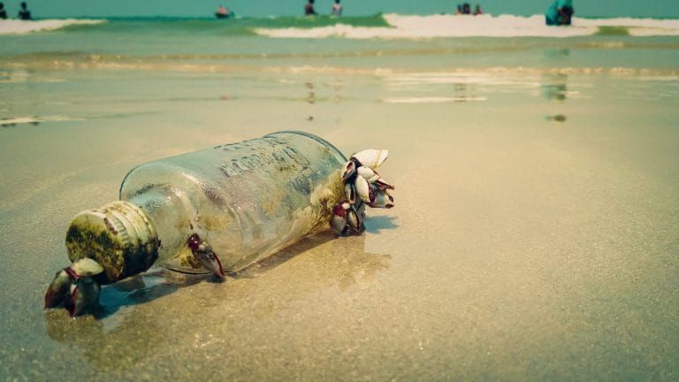 Empty glass bottle on a beach | Image: Pixahive