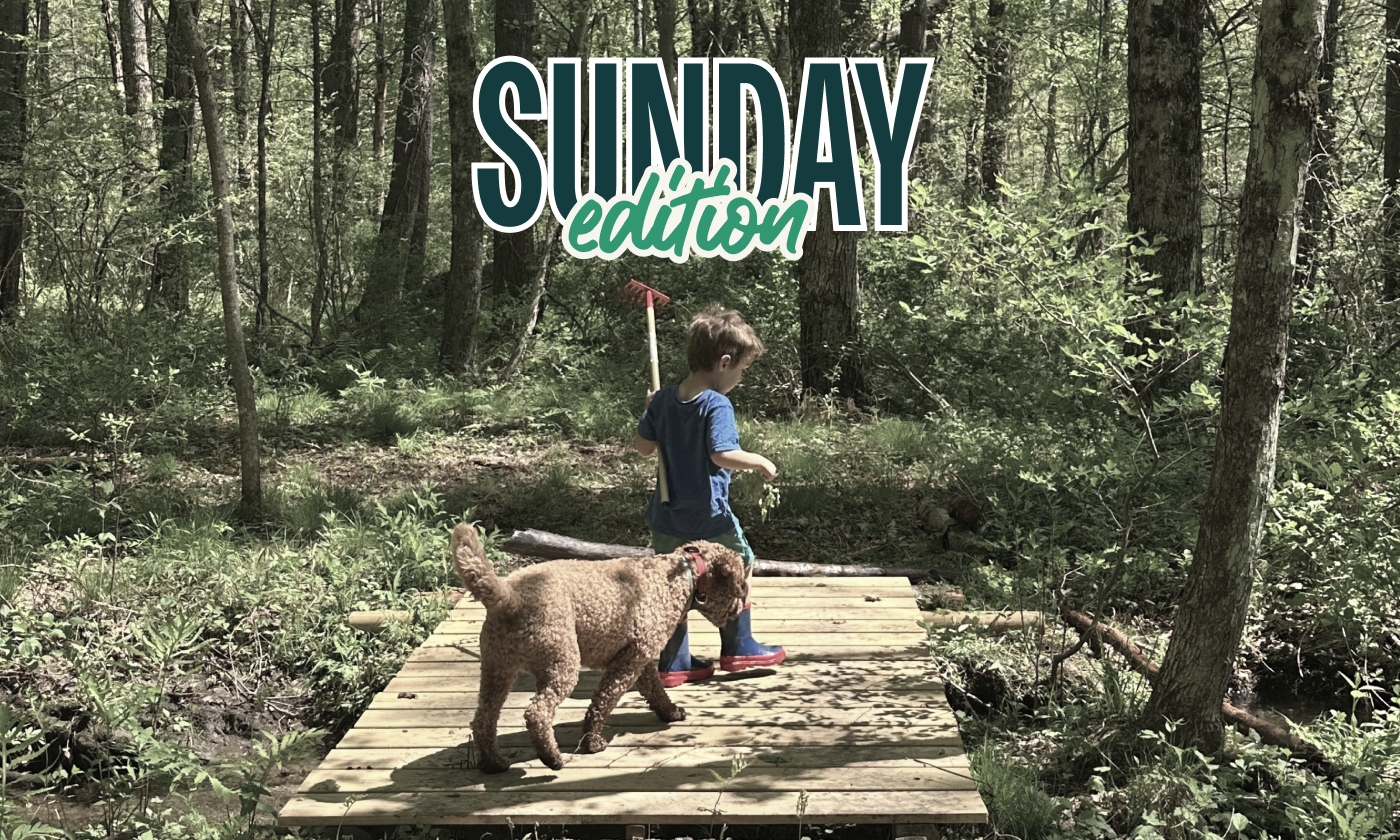 The Sunday — June 28