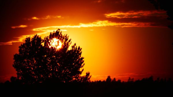 Daylight saving debate.