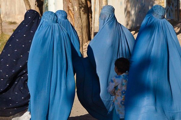 An update on Afghanistan.