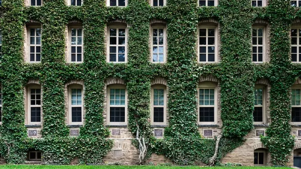 John Greim/LightRocket via Getty Images