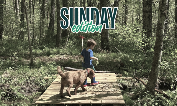 The Sunday — June 28
