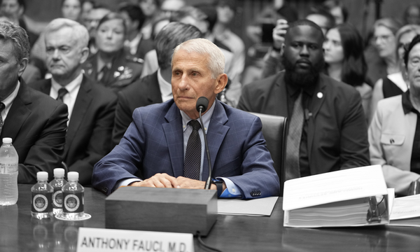 Anthony Fauci testifies about Covid-19 before a Senate committee