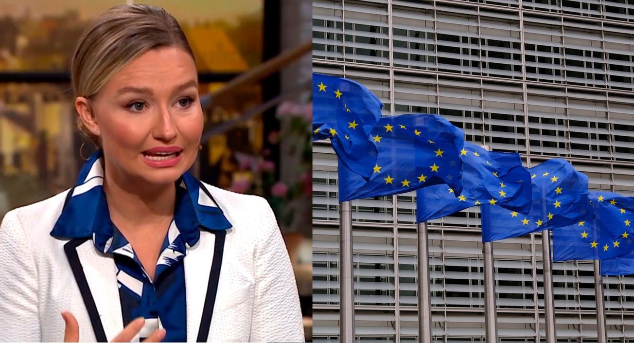 Energiministern om elstödet: "fyrkantigt EU-system, hade hellre sänkt energiskatten"