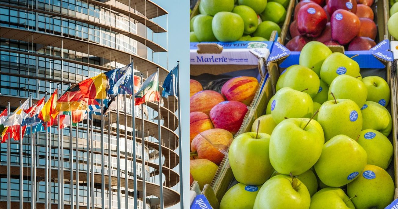 Nästan alla svenska ledamöter röstade emot – men nu betalar Sverige för att EU ska ge barn frukt och lära ut om klimatet